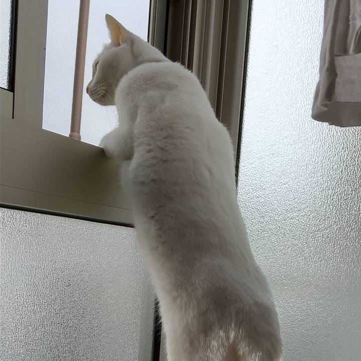 2d1818cc 208c 41d3 a257 c72e62c91488 1654432556362