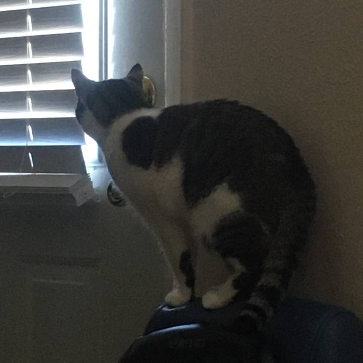 2d182441 3721 43b7 90a5 177625a8bdd0 1633915782098