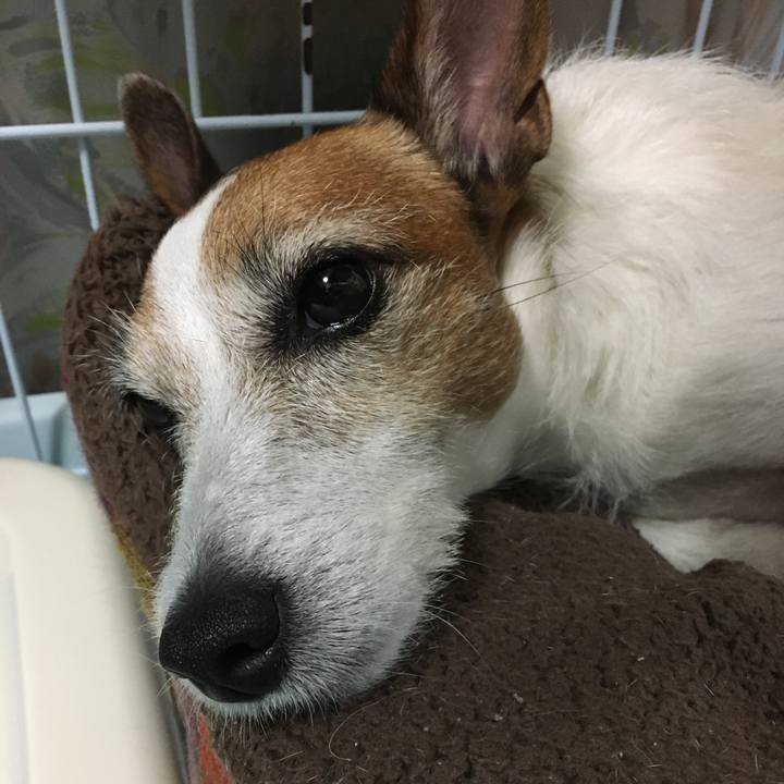 2d18357b 257b 40b3 be91 38f58553288e 1602804163051