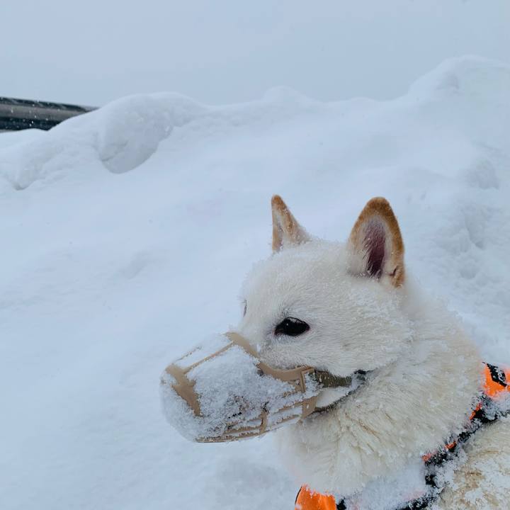 2d1856fe 36a2 4c26 9a48 8b7a5e77d911 1676158461280