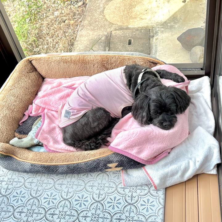 2d1878b3 1129 4b8e 8e26 234a175ee3e6 1757941930276