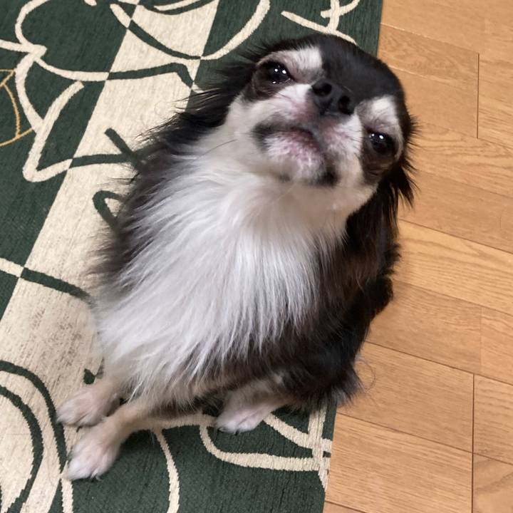 2d18ae77 7853 4244 aefb a31505d97522 1636206563937