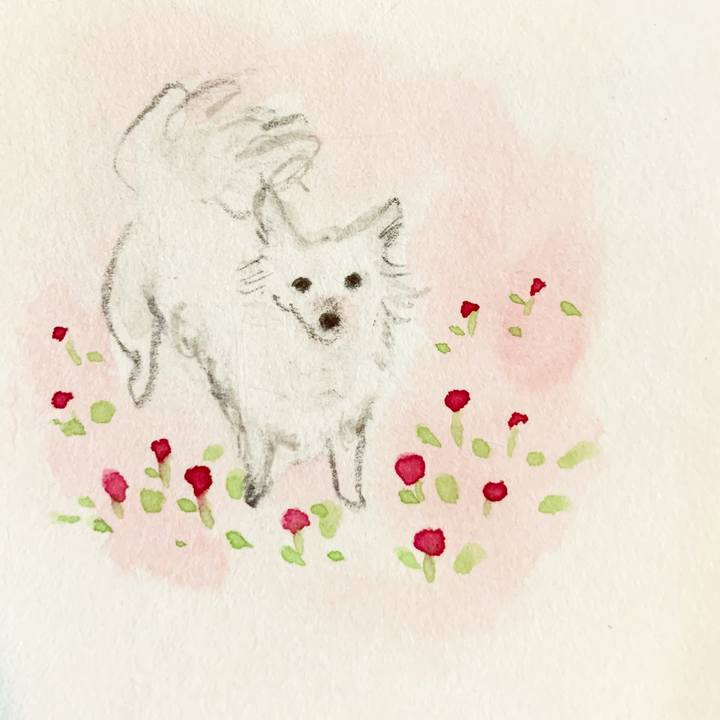 2d18f352 8761 4ff4 b420 e74aff517ef4 1633002603567