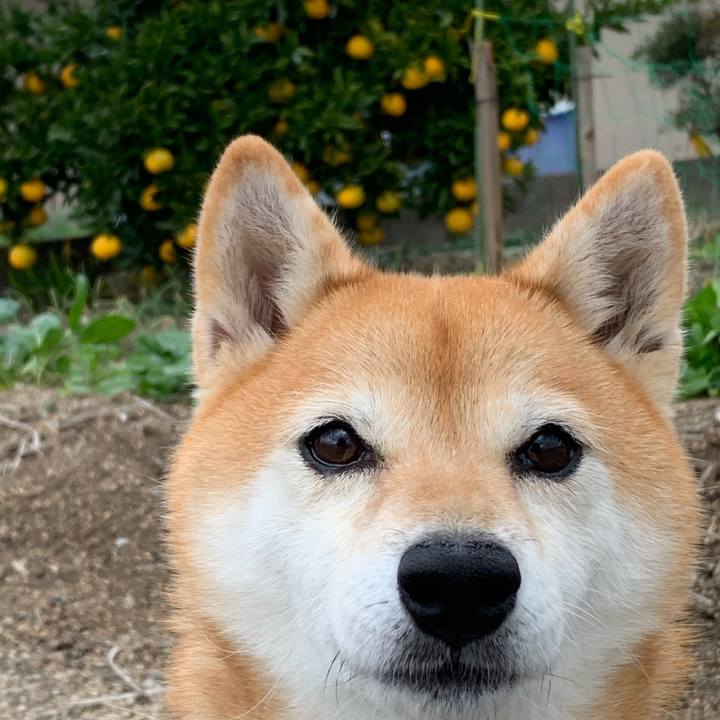 2d18f475 ac1d 43aa 8b62 3c52bf66cd06 1575350304329