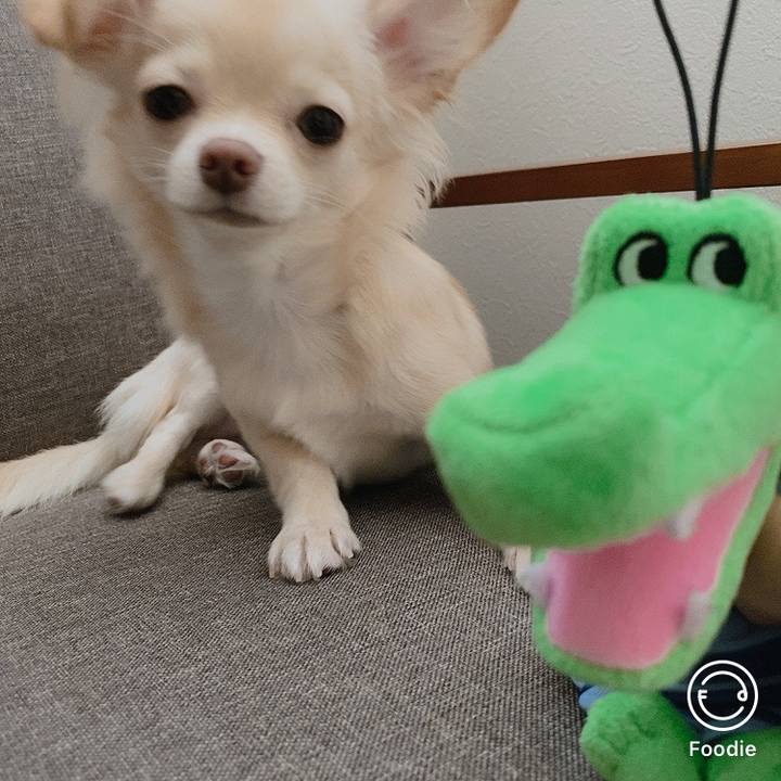 2d190aea 89a3 4dac 83ec e045b8dc3ed1 1600315800969