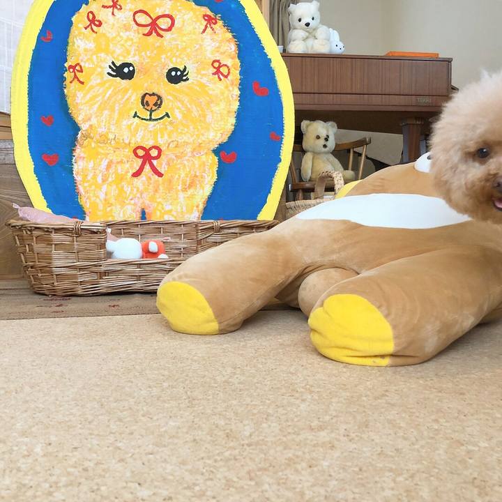 2d1943fb 5207 443e a78e 43146007409f 1533374235518