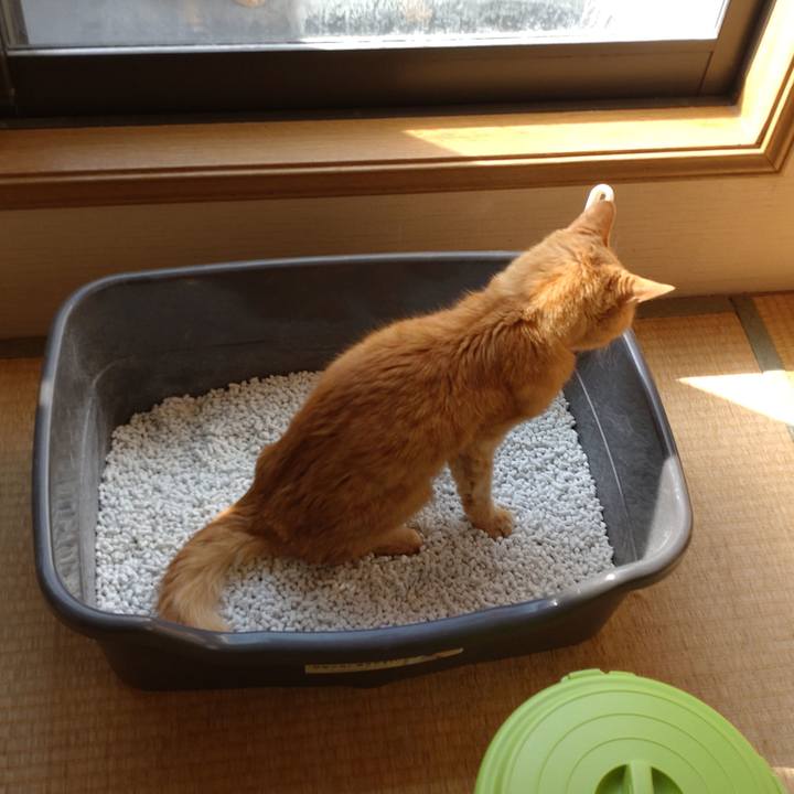 2d195dd5 fbdb 4572 9793 ccbb0ef753c6 1712967310044