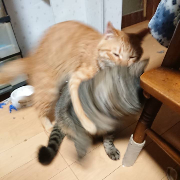 2d196d8c 4400 4252 b590 fe83e7103c86 1643836468651