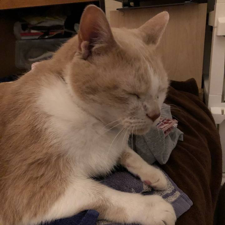 2d19a0eb ad80 4b5d af12 2730de02f3f0 1622203366701