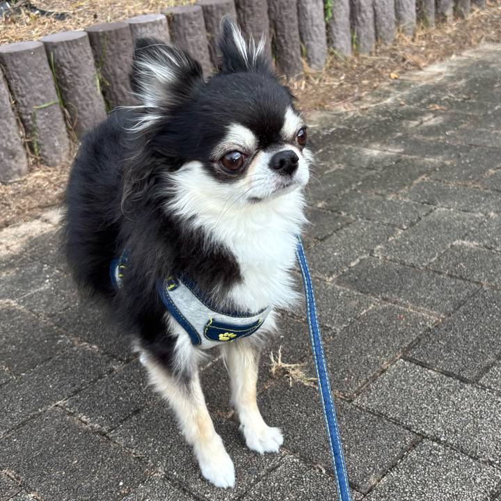 2d1a0ade 1e9a 4873 9cf5 b3bf9d52b9b9 1760892087799