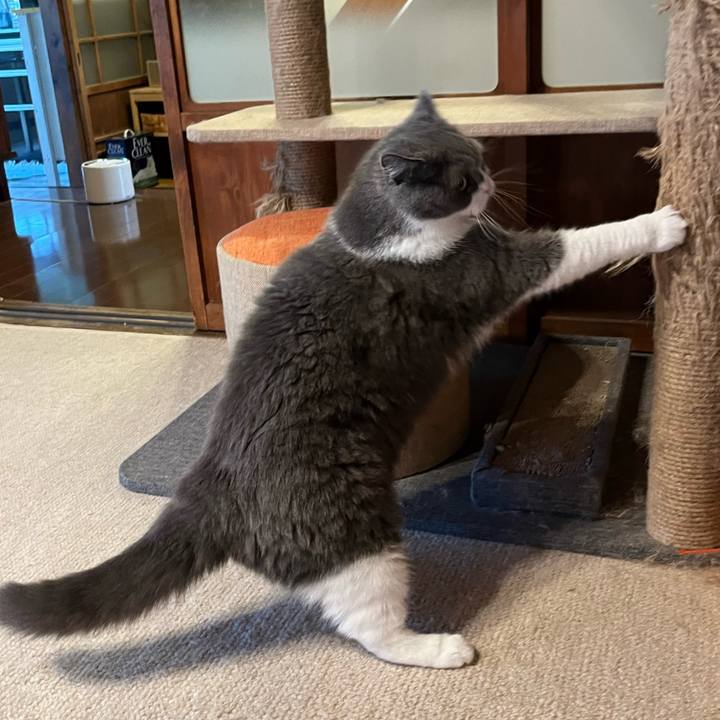 2d1a3732 6cc4 4da4 a656 335046caf488 1690931512906