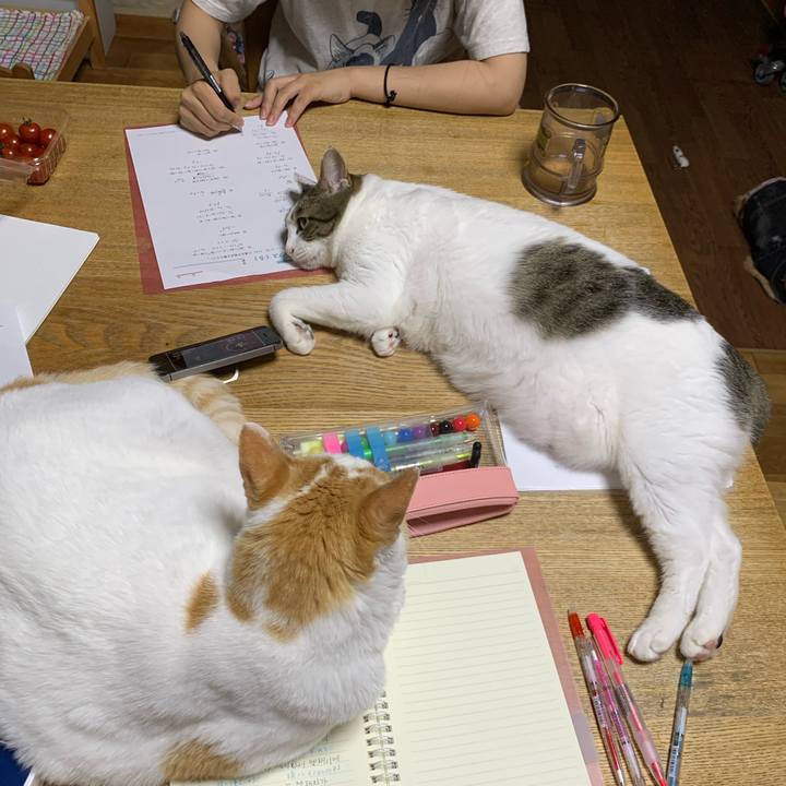 2d1a906e cfb5 456b 964f c1cacb8571f7 1625144356756