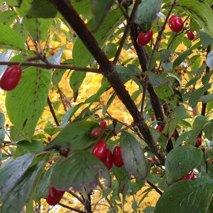 2d1ab0f1 37fa 4986 8b59 12aa057058c6 1542153272812