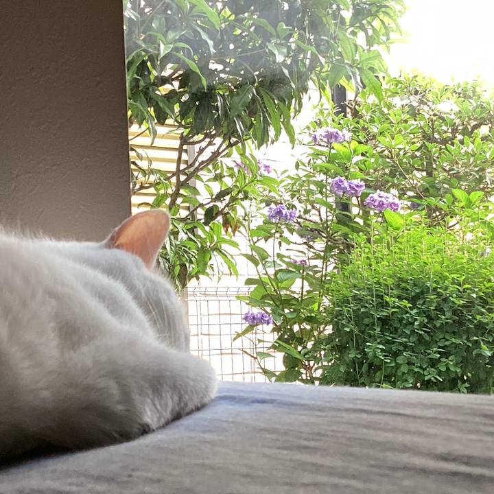 2d1adf32 44b3 4c36 8225 3d386fde069d 1688252833005