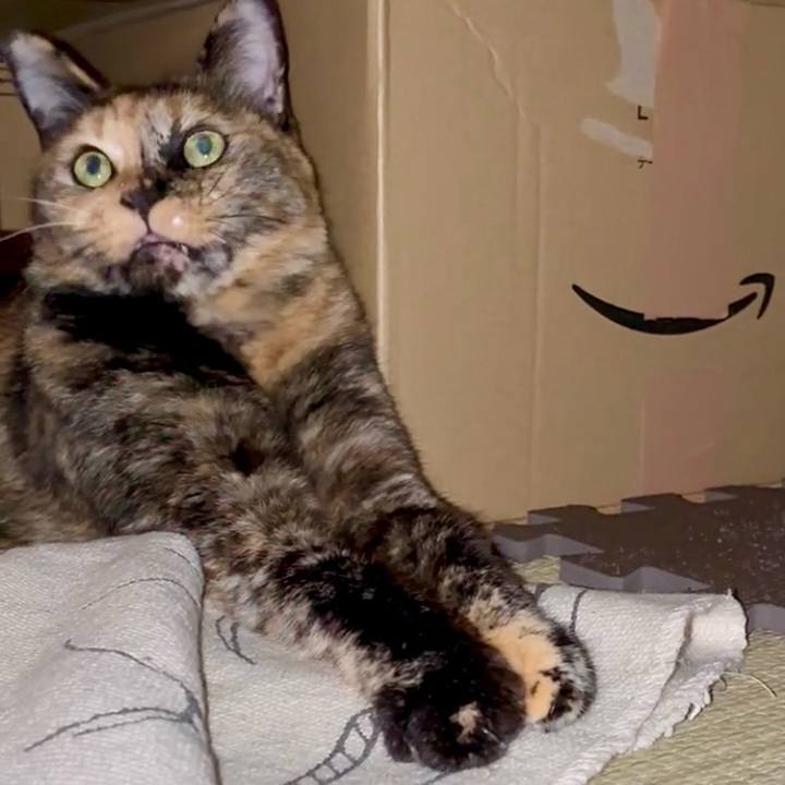 2d1b06af 2063 4e1e aa2d 70cb1904c477 1755898308998