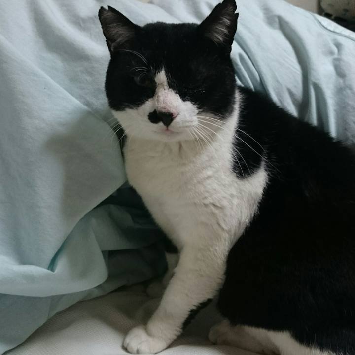 2d1b1300 2a31 4fba 87a0 f3363ea95b82 1509059796980