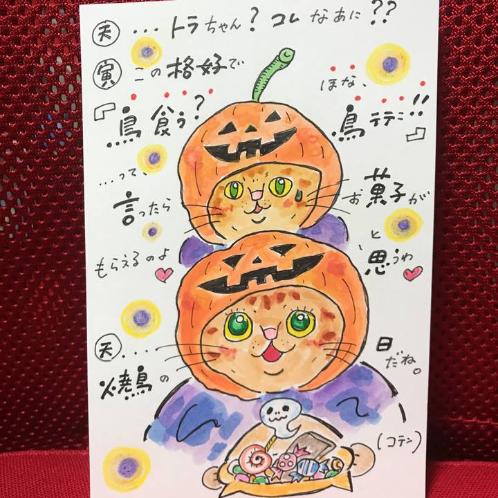 2d1b1439 11ce 4b46 82a5 39a836bcee76 1539607642304