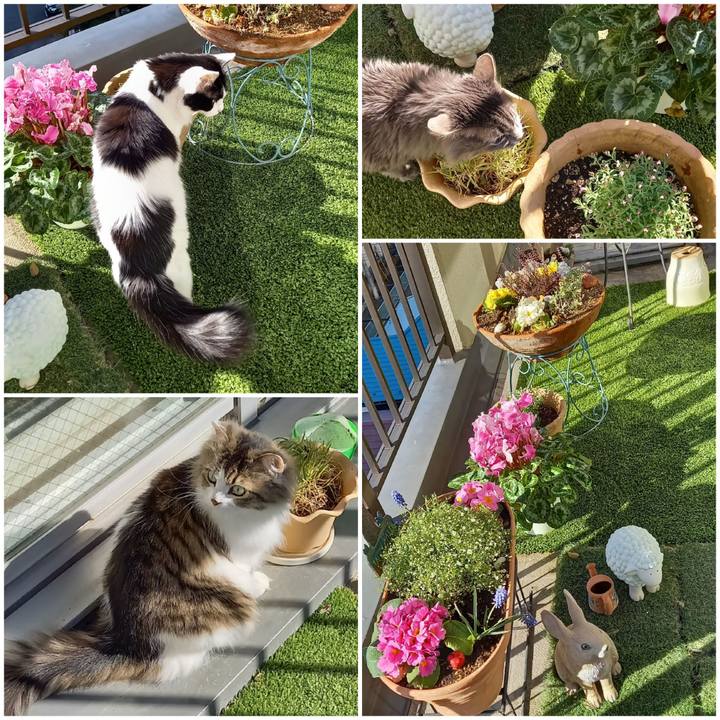 2d1b2967 d4f7 49dd bc06 49df26084492 1644370077870