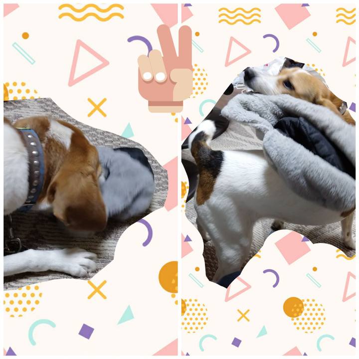 2d1b51e0 a954 4ec2 bb1b f9a8479ed409 1610522542444