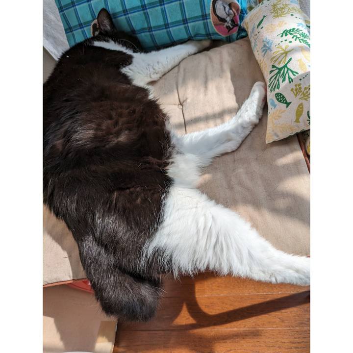 2d1b5c2d a351 4233 b6cf 90617e6feda0 1717654010725