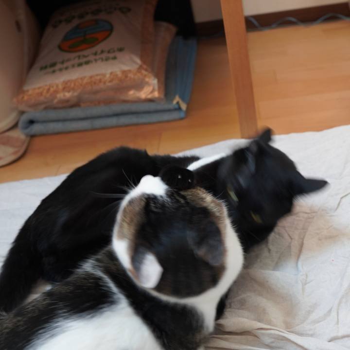 2d1b82e5 296c 4511 9f58 25a6c6bfda6c 1588378546989