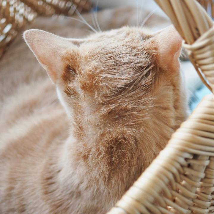 2d1b854b df96 46ad 872b 97a100529cb1 1585373444293