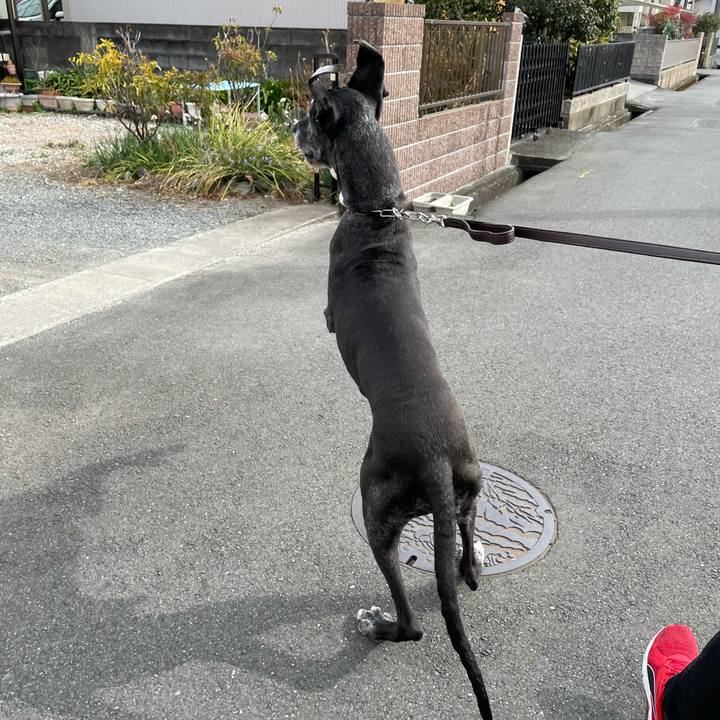 2d1bc67b 2cac 47e1 aa66 7c3d710b55cd 1613189236593