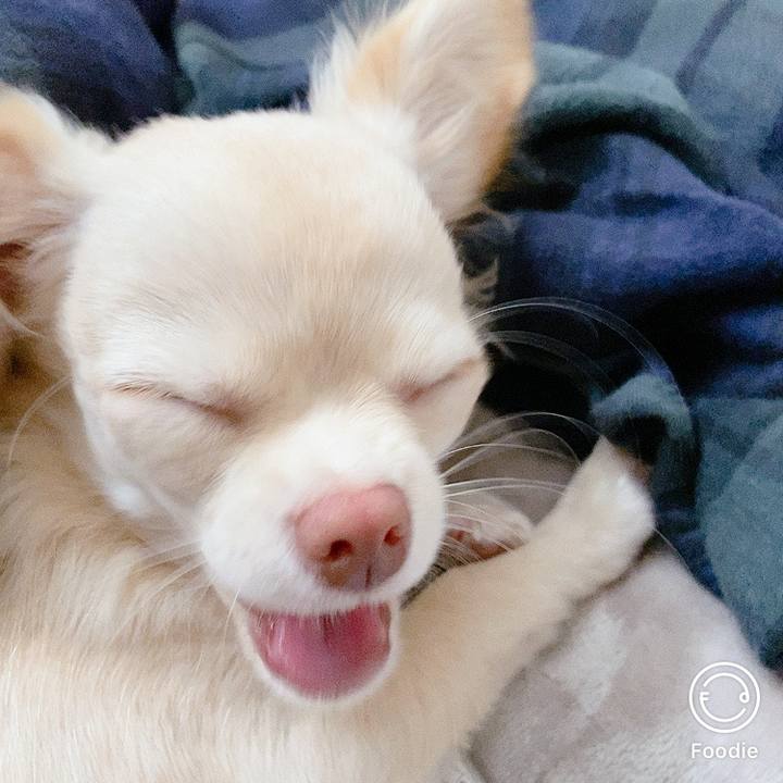 2d1bc860 b157 4039 aff3 d4f1344a9a62 1603502531135