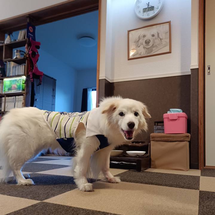 2d1bd27d 9ce1 43d6 b2d1 40ee8792b5e1 1755596091628