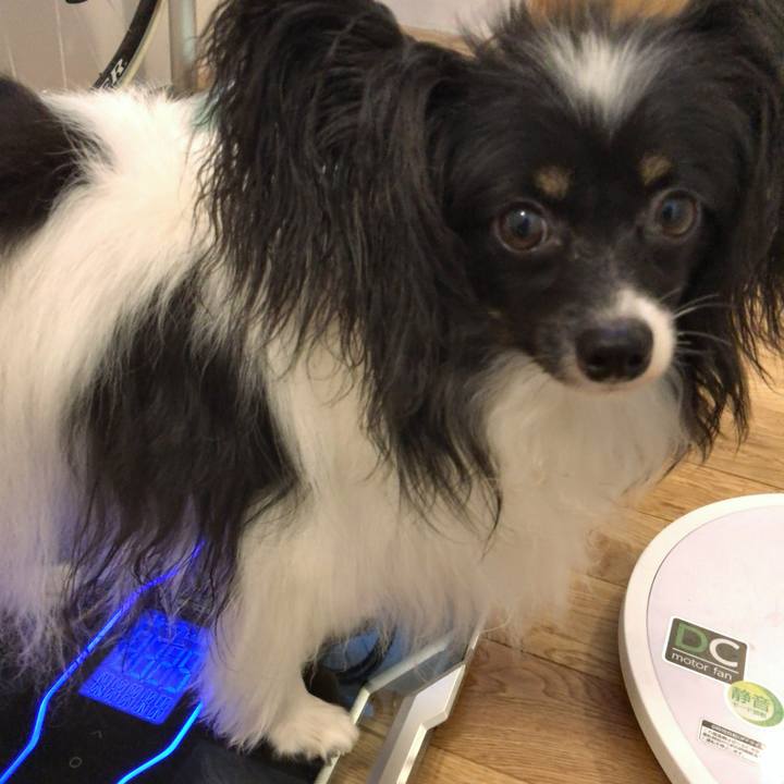 2d1be2a2 6932 4f8f ba80 4a0018269a84 1536097162960