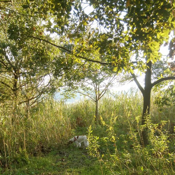 2d1bf935 c7a3 41c1 a8c9 052d0e05984f 1540776148685