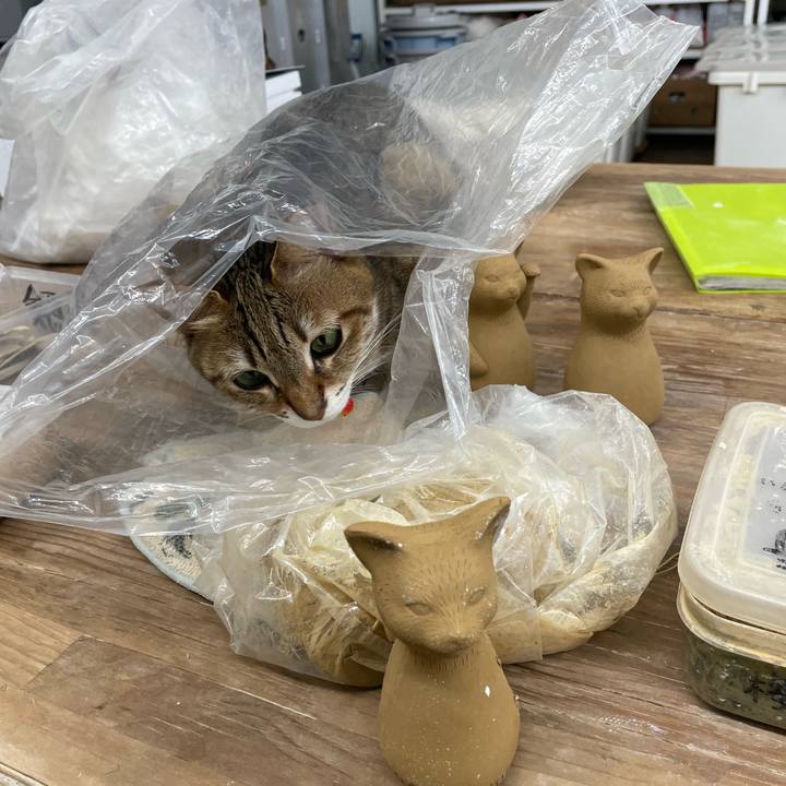 2d1c58ed 4fc4 4aaf 85f2 579ece02bda2 1742108269339