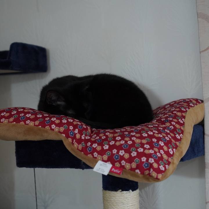 2d1c6e9b 2761 49c5 8a1a afd04d0a6262 1580654710999