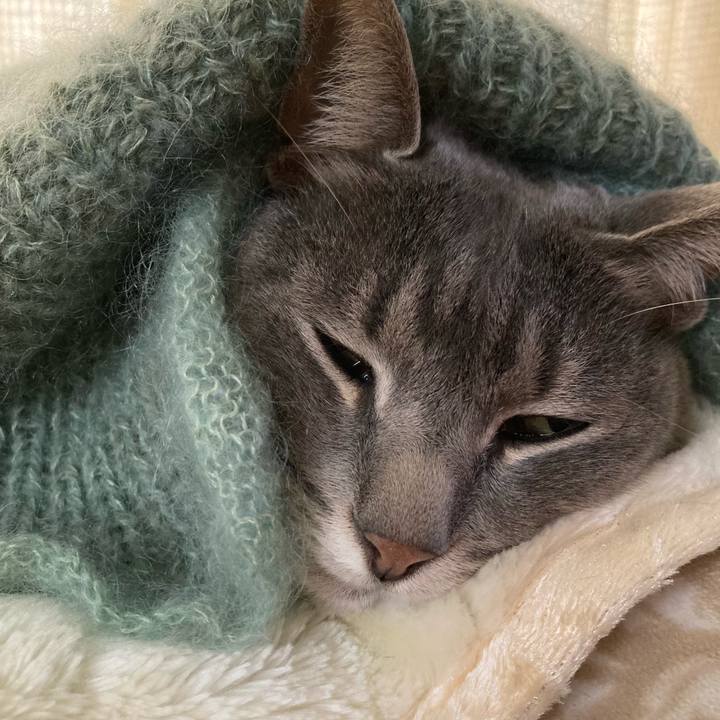 2d1c7ab6 7148 4157 b230 0312137f4e81 1674471884362