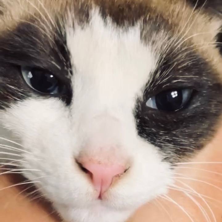 2d1c9033 29a2 4491 8af8 2fa6ba9fb843 1736835798170