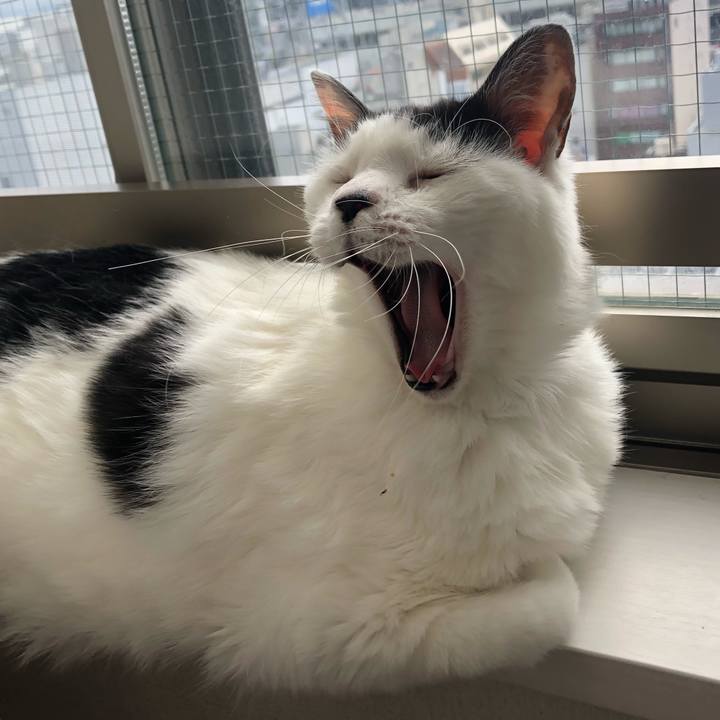 2d1cae38 b14e 41a2 9d7b 6ef893609a6e 1594537139785