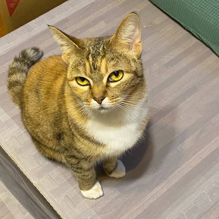 2d1cb68d 64c2 4353 a78d 2d60ba6318bc 1612005641121