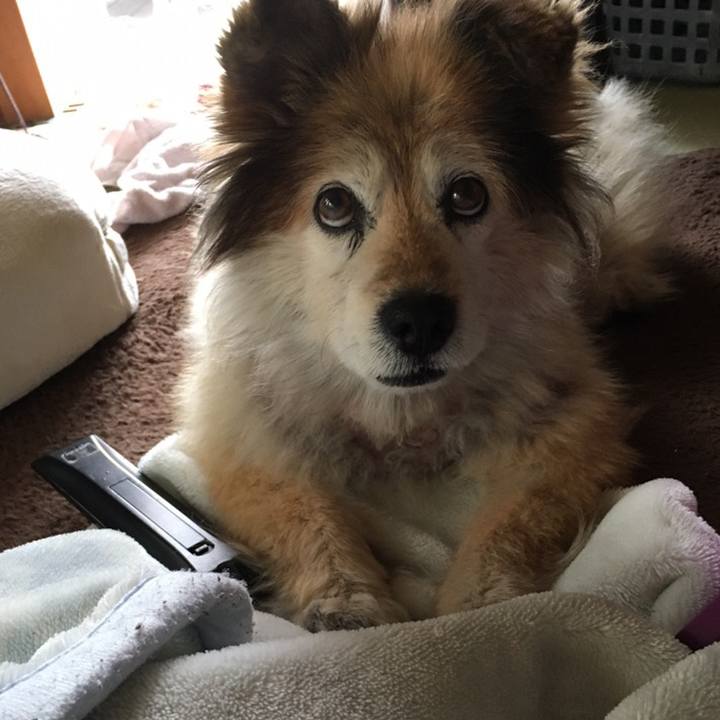 2d1cd158 ec51 46ab 8a28 b404b45fcfc3 1571309939707