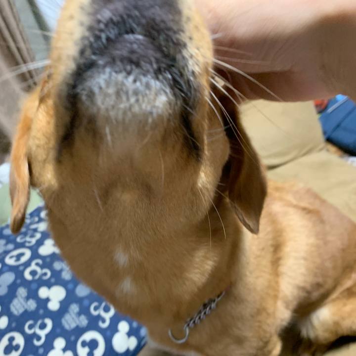 2d1d47b4 6ebb 4133 a88f 8cd2e4df800e 1561590266571