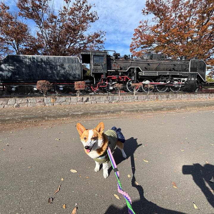 2d1d6930 15ec 499b a7ff 8abefbde37b1 1763957879871