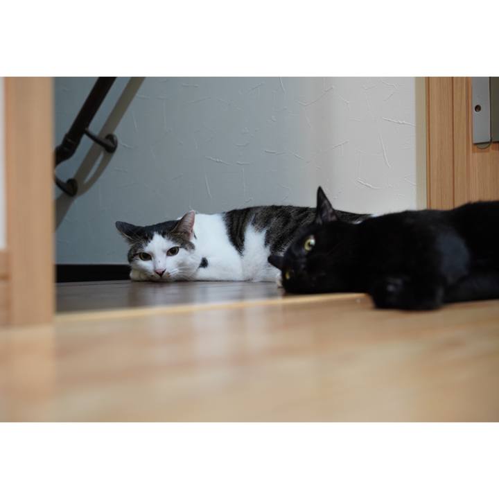 2d1d6df2 267c 49b3 86e5 e348a2e16926 1566430625370