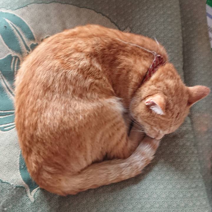 2d1d99db d7e7 4415 9eaf cb206fc3fdf9 1566596550898