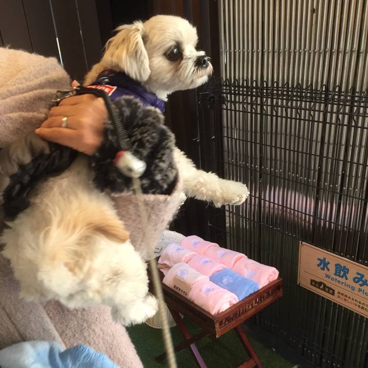 2d1d9e37 d380 400e a73a 256c831a0012 1515319612615