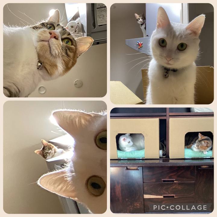 2d1dec78 3fa0 4b1f ac80 d01b0eb14610 1730533575526