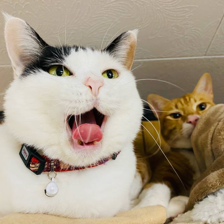 2d1e0ad2 3d9a 4e37 960a 9d23f1130480 1673742377488