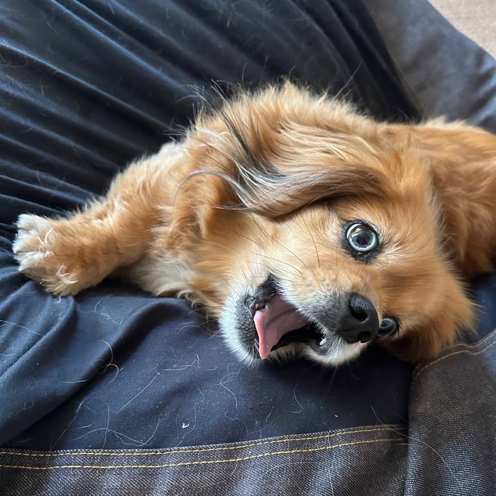 2d1e2ad3 de50 4c1a 9c19 1682c277ff3b 1715993408531