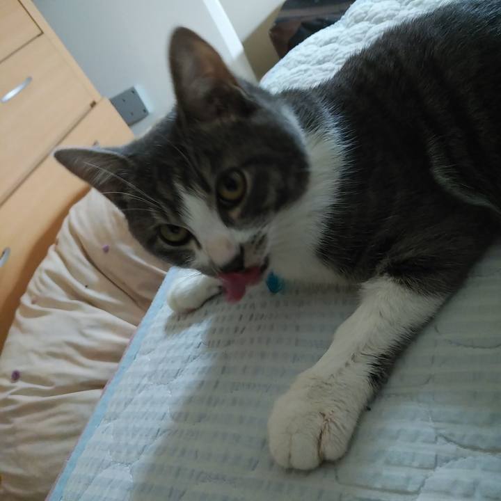 2d1e3b76 ca2e 4987 b3f4 97edb5511a63 1571703865338