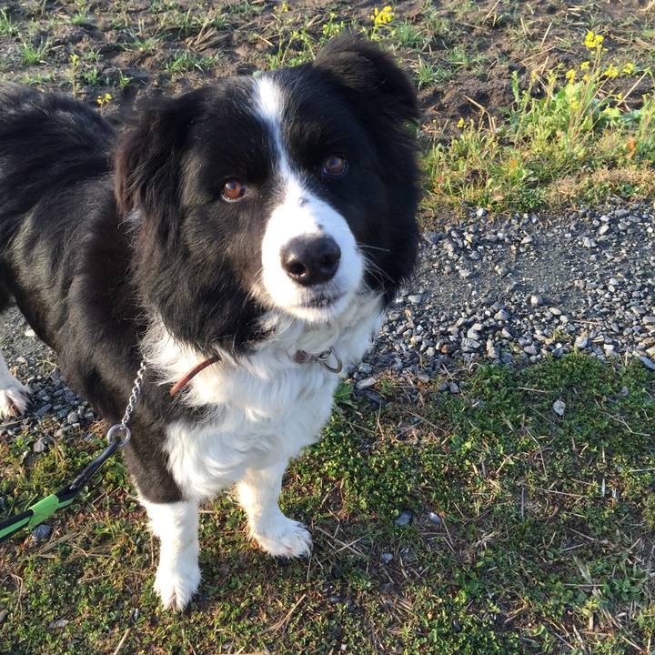 2d1e55bd 5131 4e14 89a3 63d66e5b3b45 1519945051151