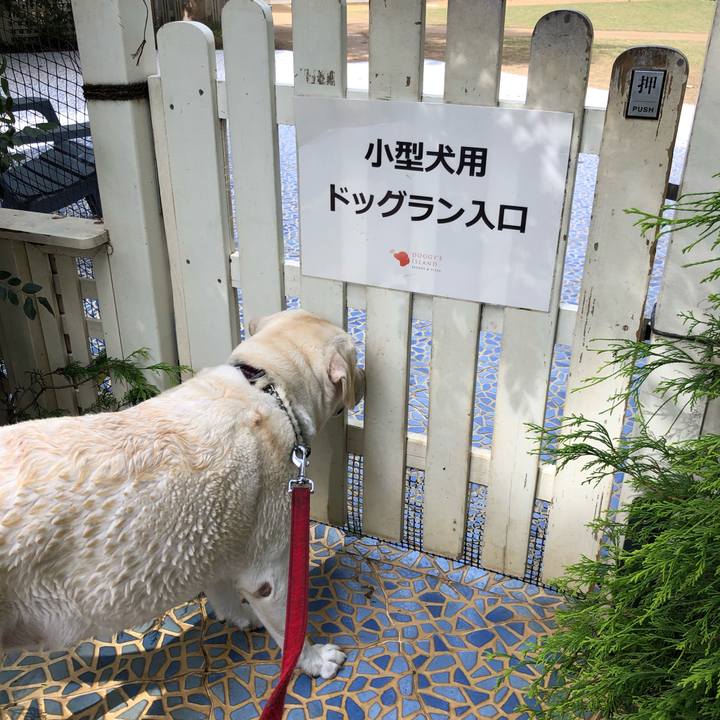 2d1e7151 ec5e 4086 8454 11edd3ae03a1 1634197987698