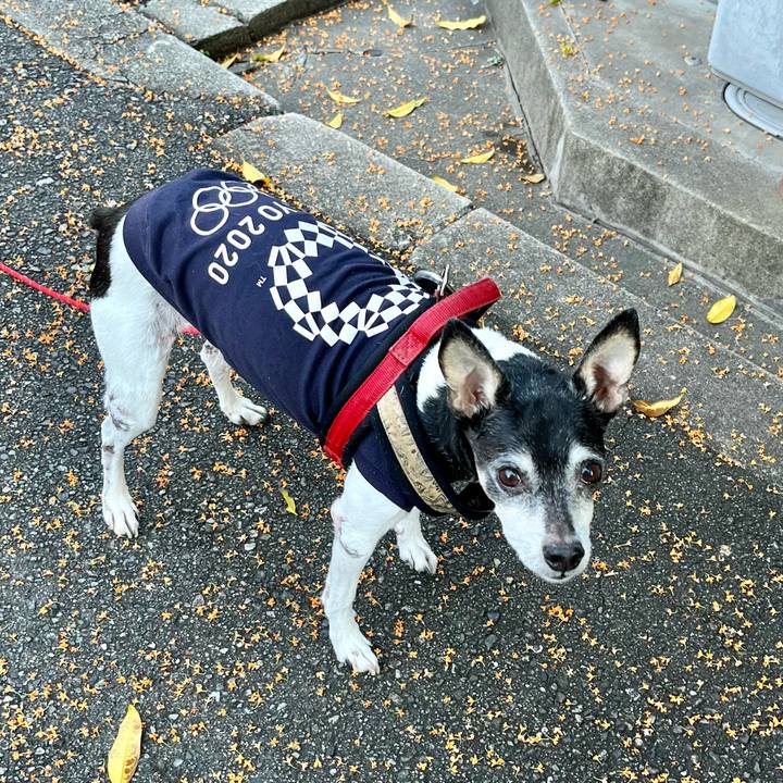 2d1ee646 490f 4926 a578 6f488d5b7cc1 1636249494231